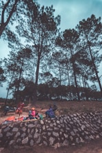 A group of adventure riders setting up camp in a forest.