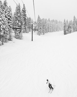A lone skier navigates down a snow-covered slope surrounded by tall, snow-laden pine trees. Overhead, ski lifts extend across the scene, partially filled with people.