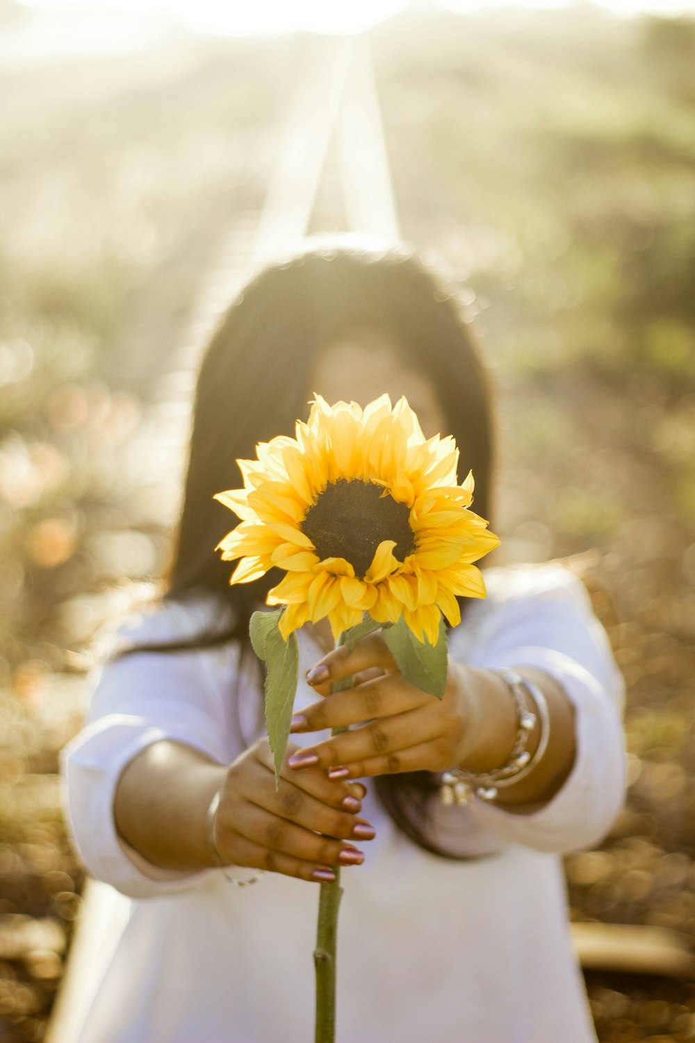 femme tenant le tournesol à l’extérieur pendant la journée