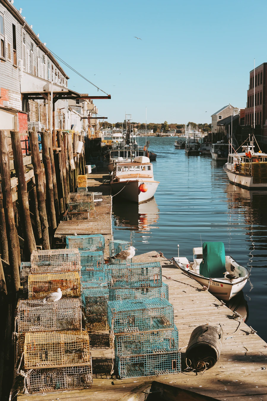 Lobster traps stacked on a wharf beside the water