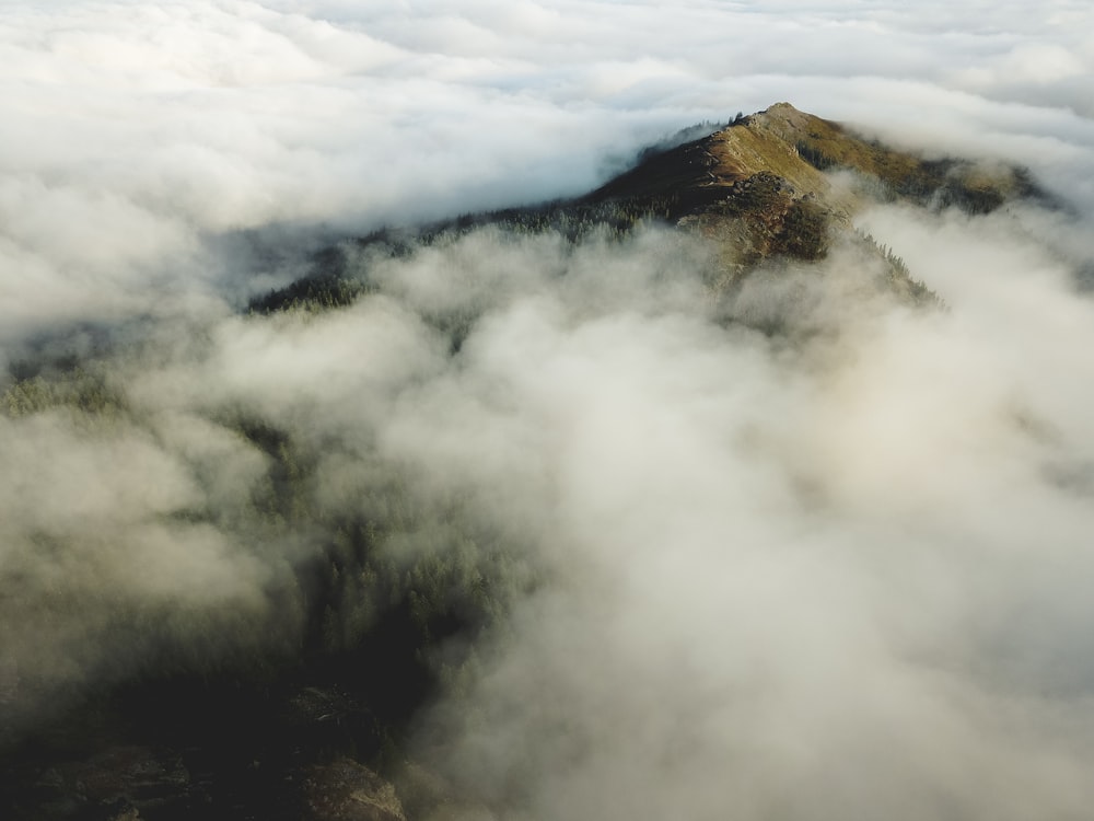 bird's eye view of mountain covered in sea of cloud