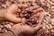 Two cupped hands gently holding a collection of cocoa beans, with more beans spread out on the surface in the background. The image highlights the texture and natural brown color of the beans.