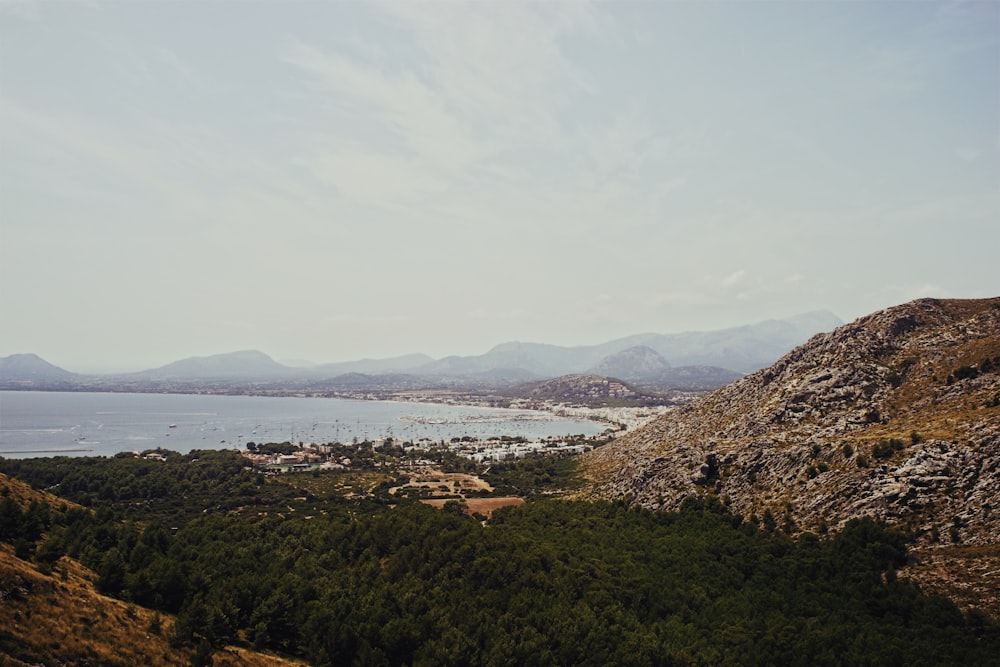 green trees near mountains and sea at daytime