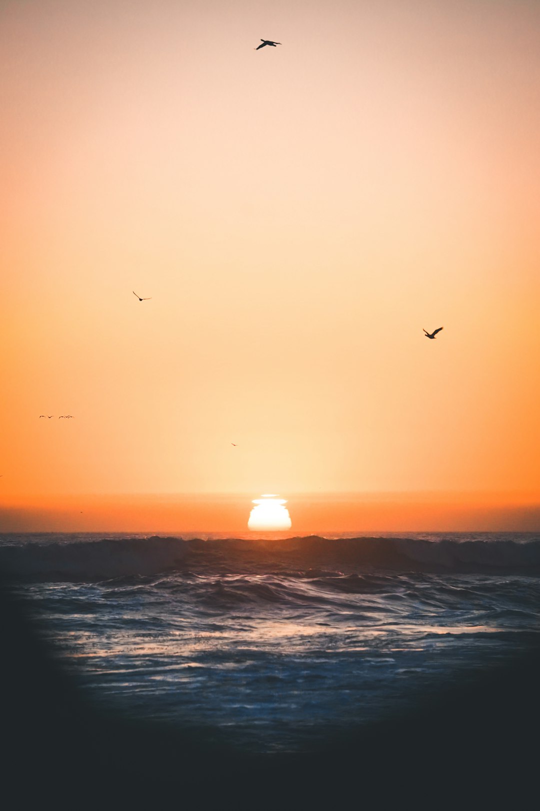 photo of Pismo Beach Ocean near Pismo State Beach