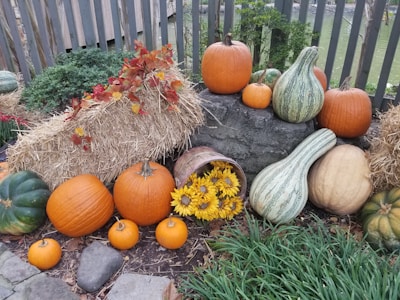 A rustic arrangement of autumn-themed items including pumpkins of various sizes and colors, a green-striped gourd, and sunflowers spilling out of a tipped basket. Straw bales and brown leaves add texture, while stones and greenery provide a natural backdrop.