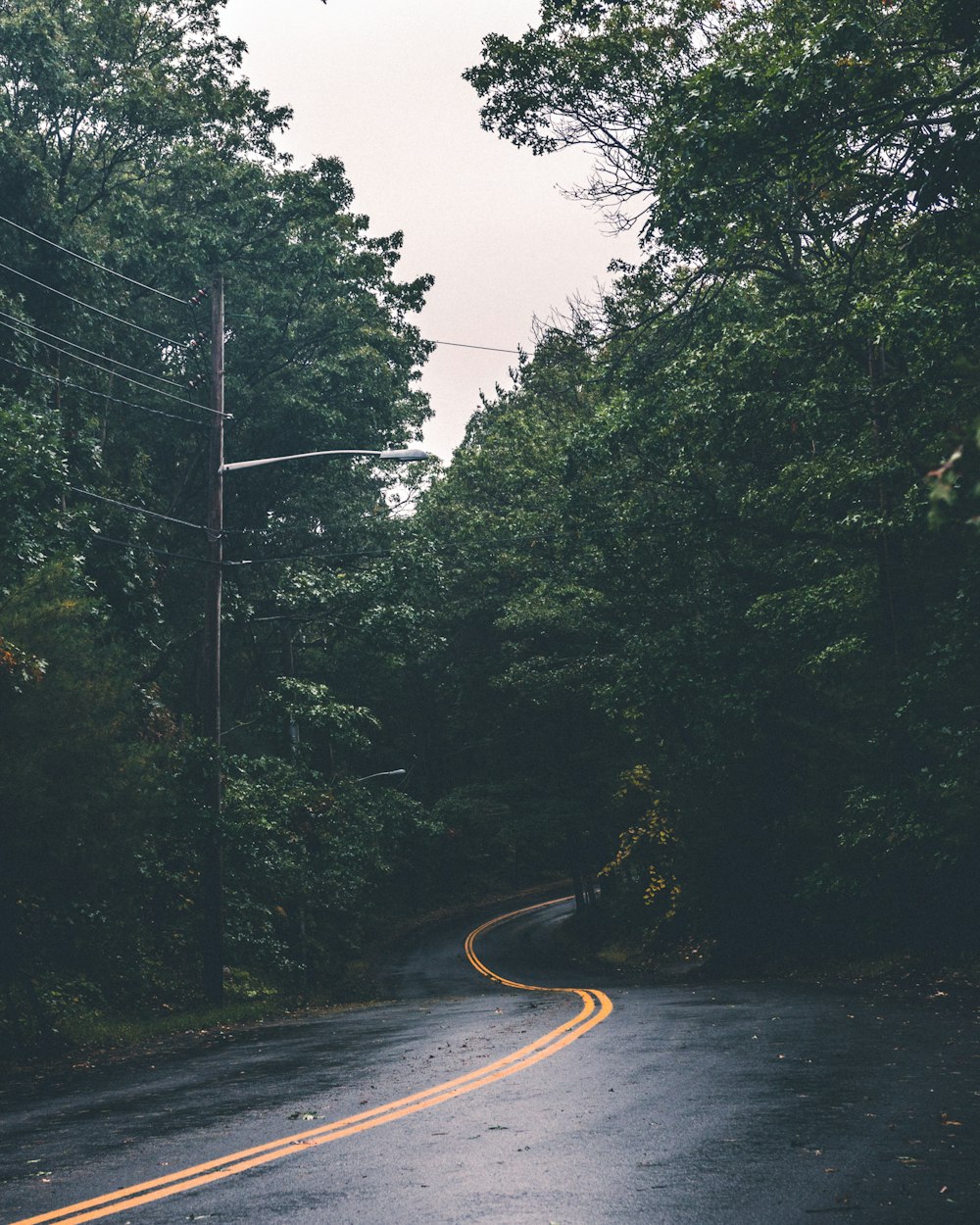 昼間の緑の木々の間の空っぽの黒いコンクリート道路