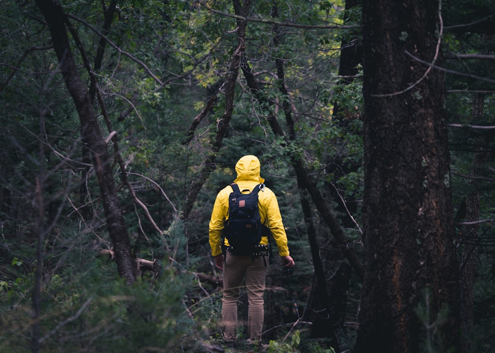person walking on forest