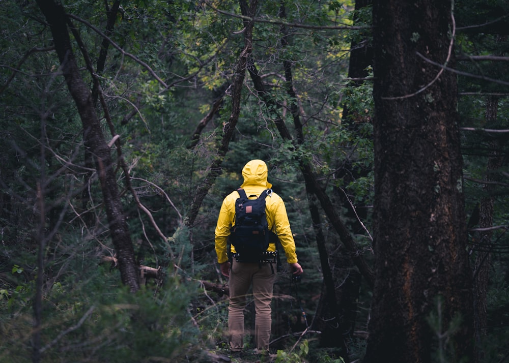 Persona caminando sobre el bosque