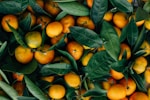 orange fruits