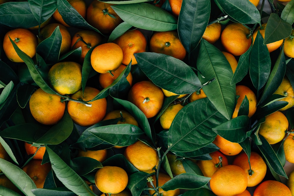 orange fruits