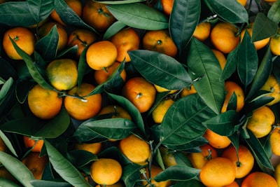 orange fruits organic zoom background