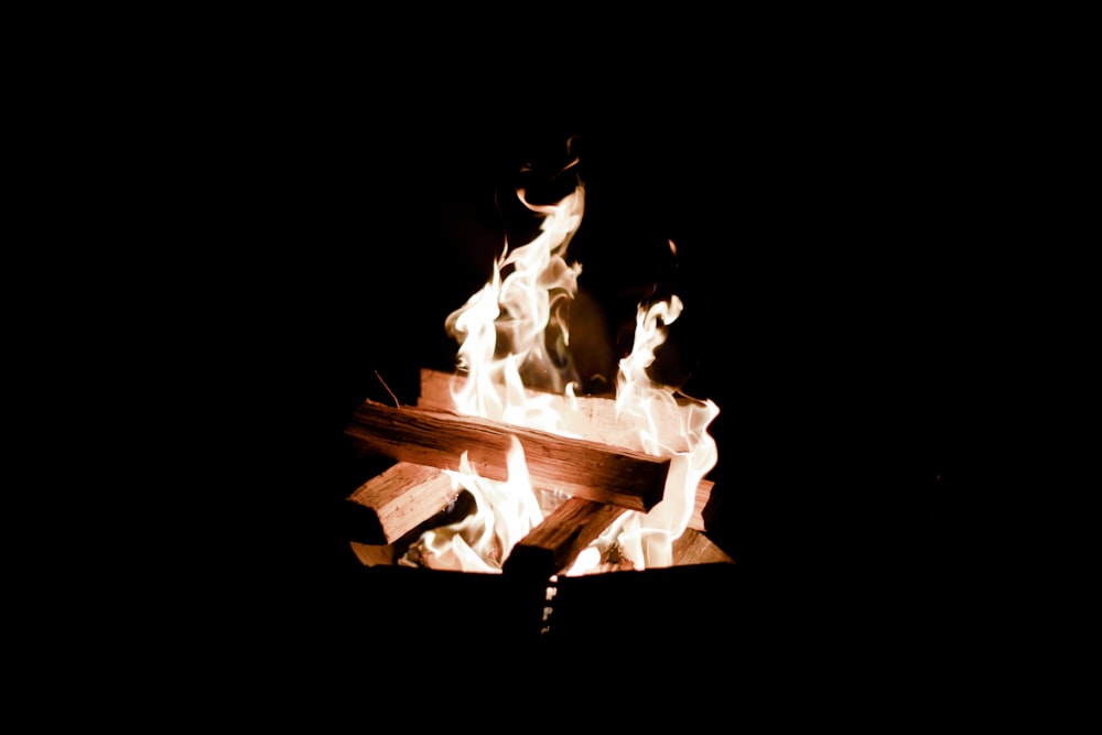 bonfire during night