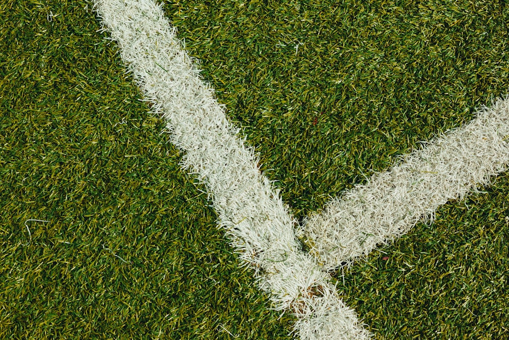 green grass field with white paint