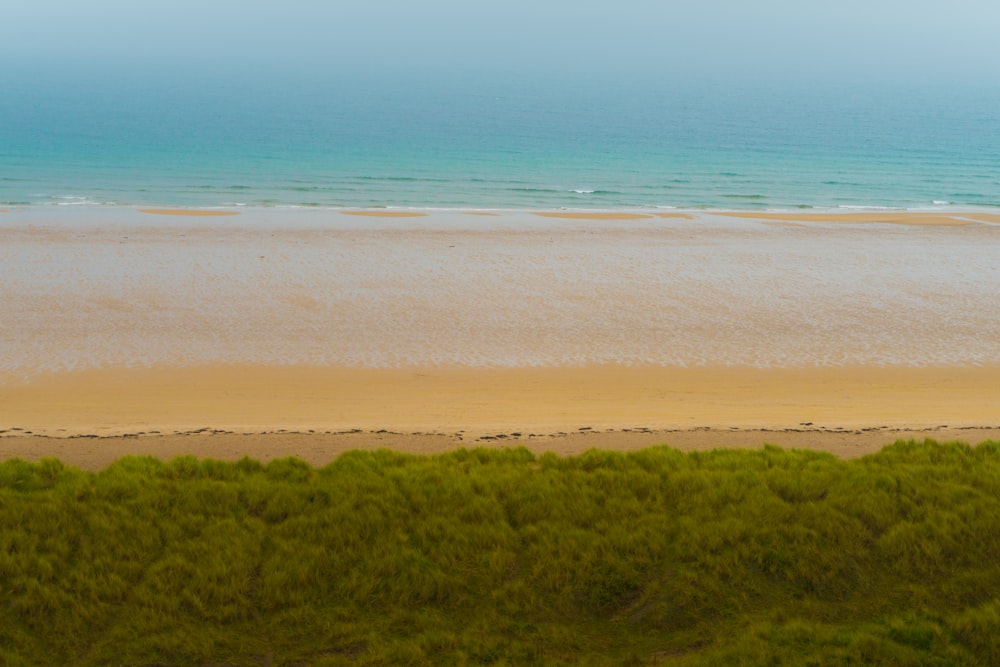 a couple of people riding horses on top of a sandy beach