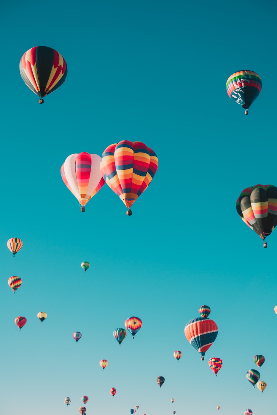 hot air balloon festival in Albuquerque, NM