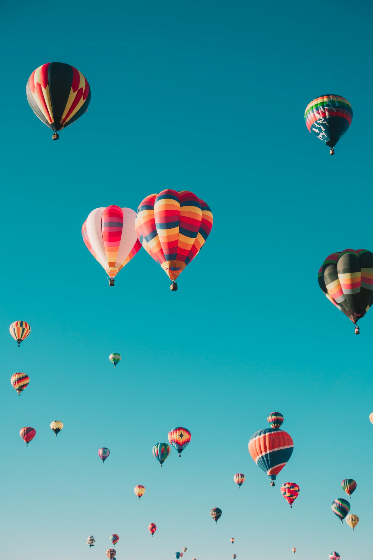 Temecula Balloon & Wine Festival