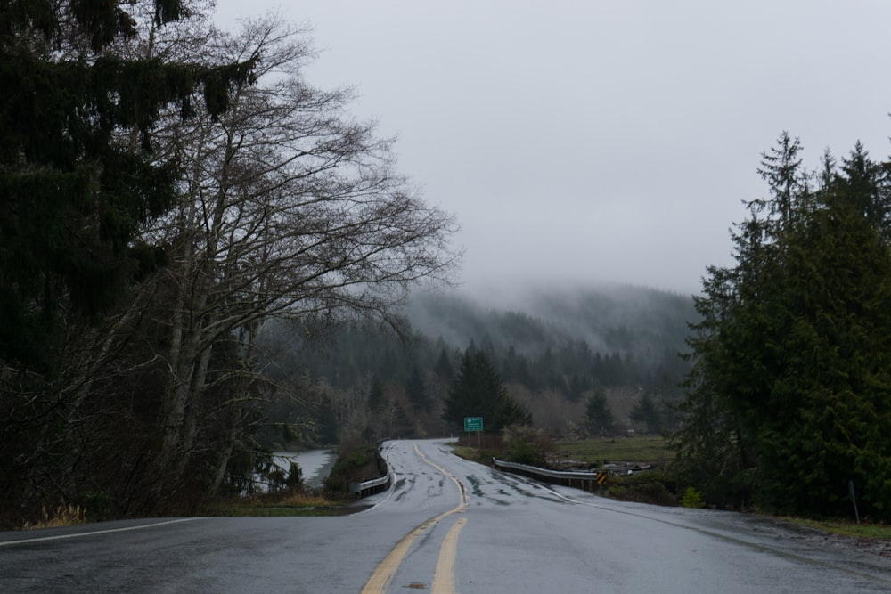 gray concrete road under cloudy daytime