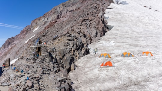 view of alps moutaain in Camp Muir United States