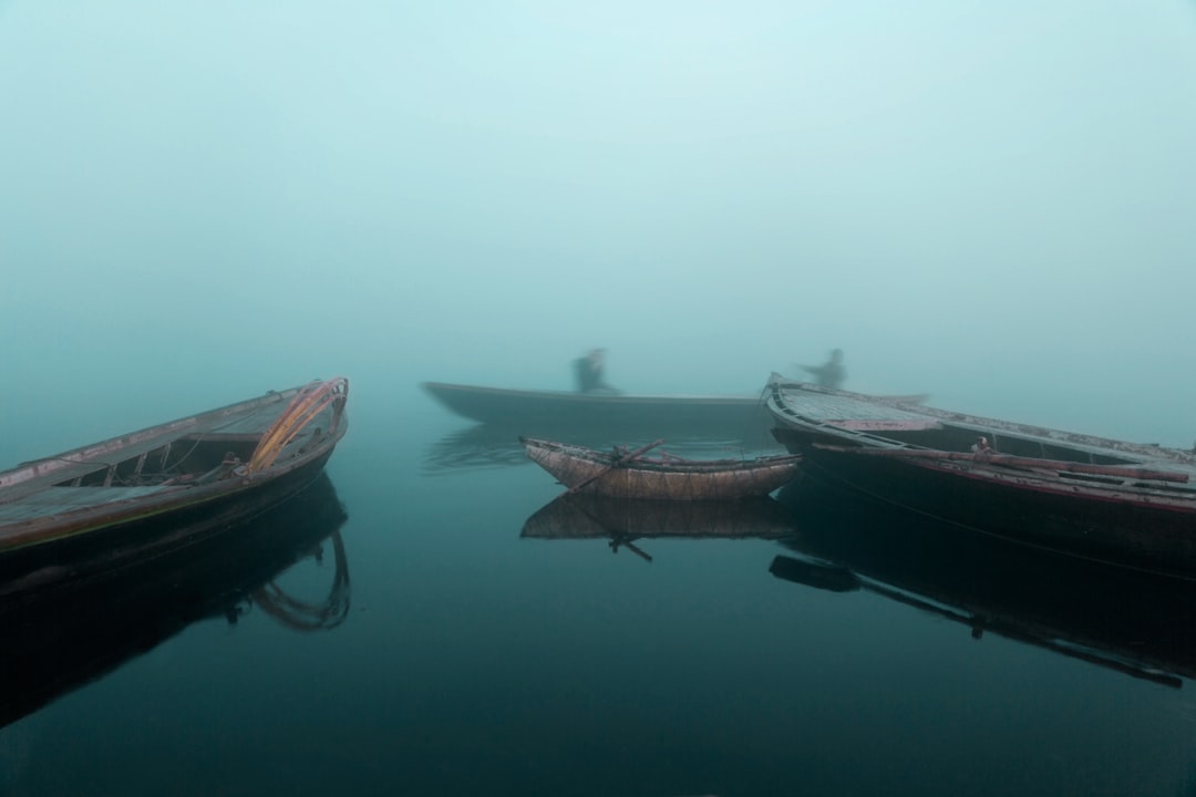 panning photo of four brown boats