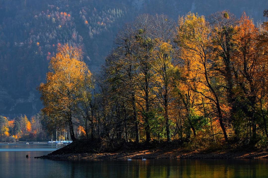 Lake photo spot Walensee Zug