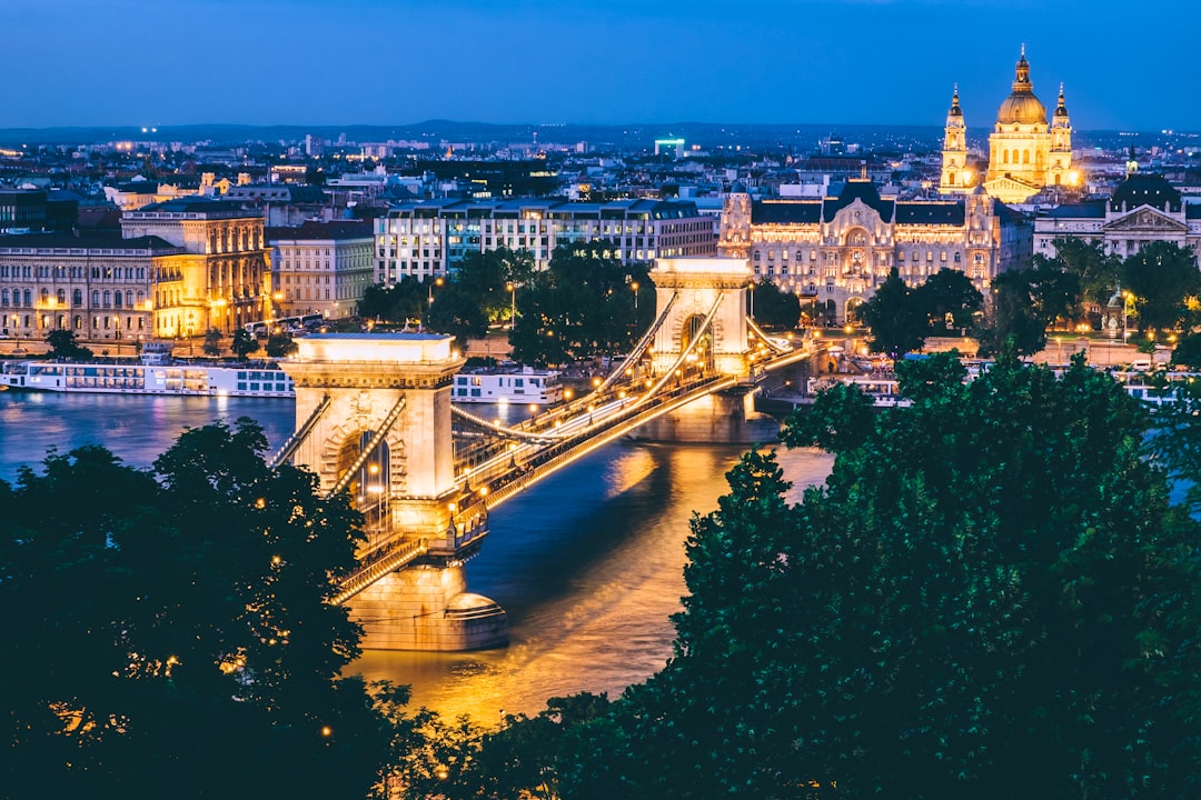 landscape photo of bridge with lights