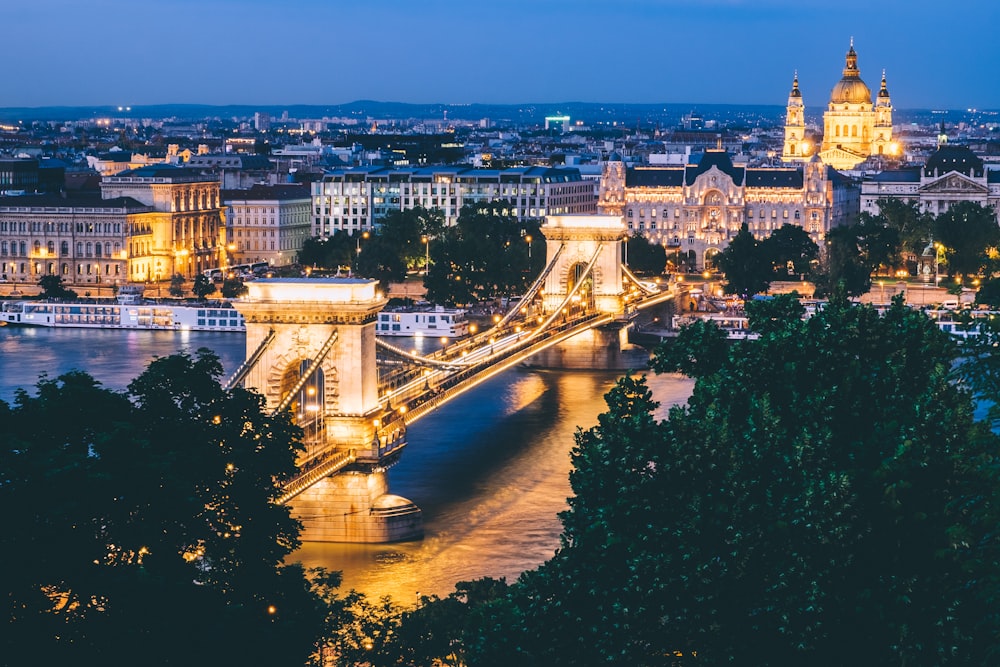 landscape photo of bridge with lights