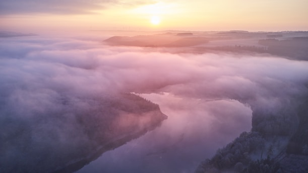 A serene landscape emerging from fog.