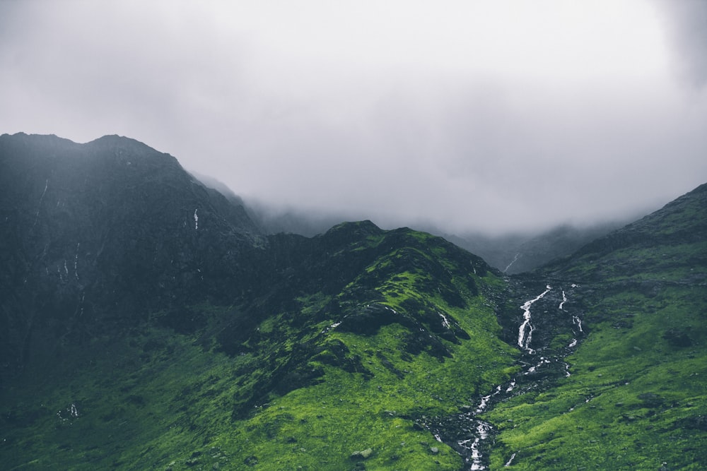 緑の木々が生い茂る山の風景写真