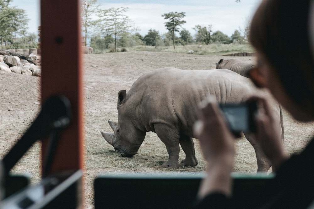 person inside vehicle capturing grey rhinoceros on ground during daytime