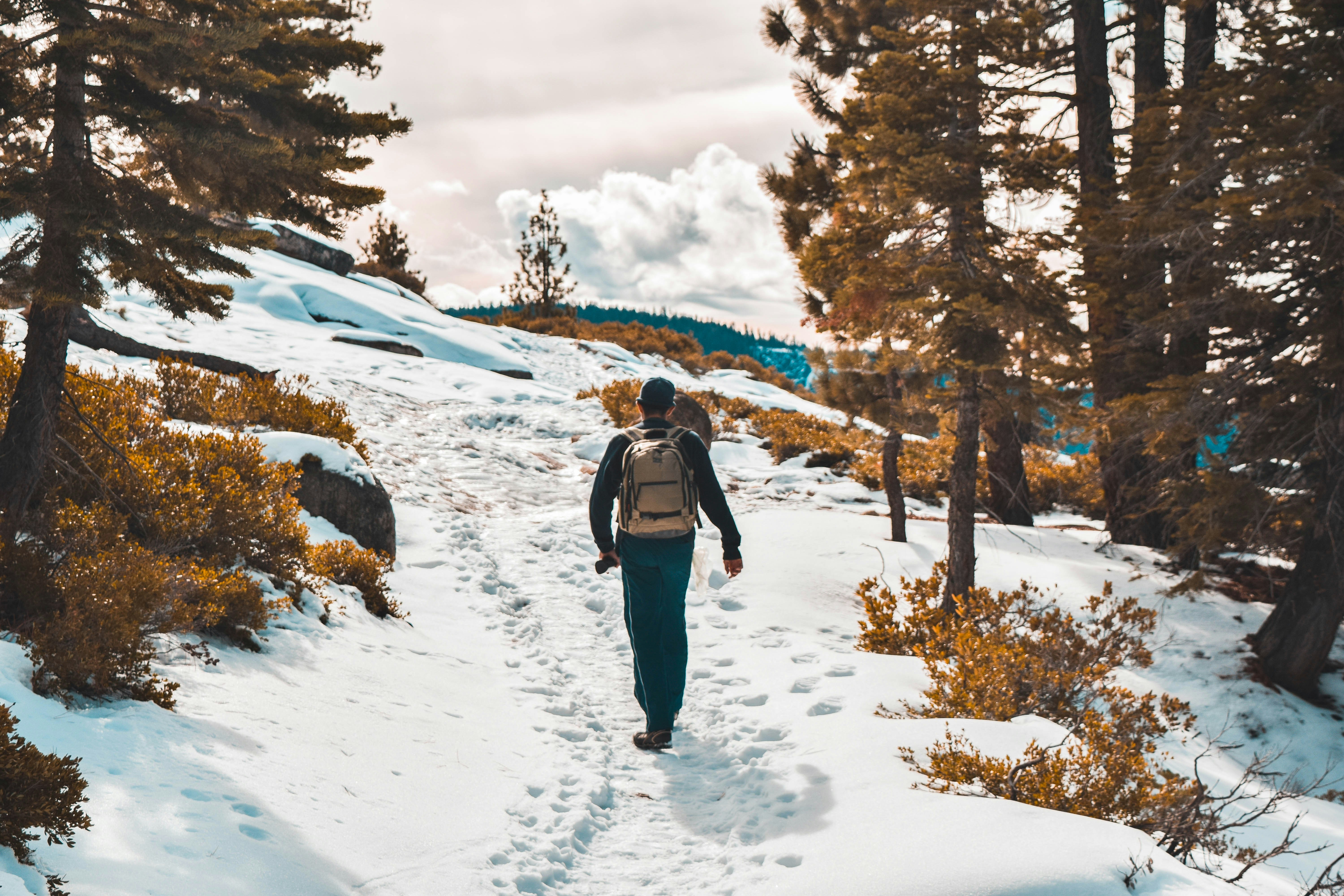 Photo by sebastian_etc