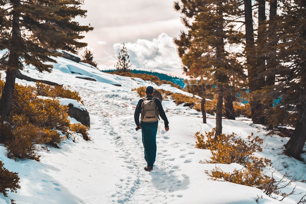 person walking between trees during winter