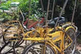 A group of bicycles, primarily yellow with some red, are parked closely together. The yellow bicycles have baskets attached and are marked with 'CORREIOS' indicating they may be used for postal services. The scene is set outdoors with lush green foliage and sunlight casting shadows on the bikes.
