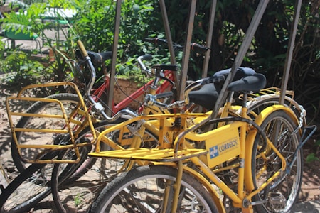 A group of bicycles, primarily yellow with some red, are parked closely together. The yellow bicycles have baskets attached and are marked with 'CORREIOS' indicating they may be used for postal services. The scene is set outdoors with lush green foliage and sunlight casting shadows on the bikes.