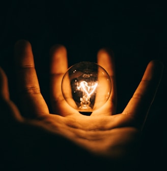 clear glass bulb on human palm