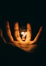 clear glass bulb on human palm
