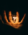 clear glass bulb on human palm