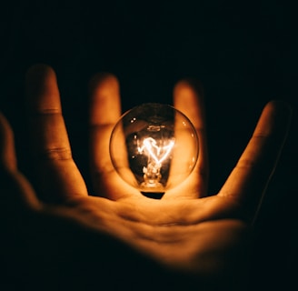 clear glass bulb on human palm