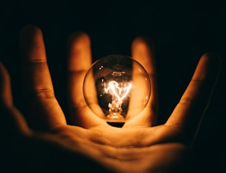 clear glass bulb on human palm