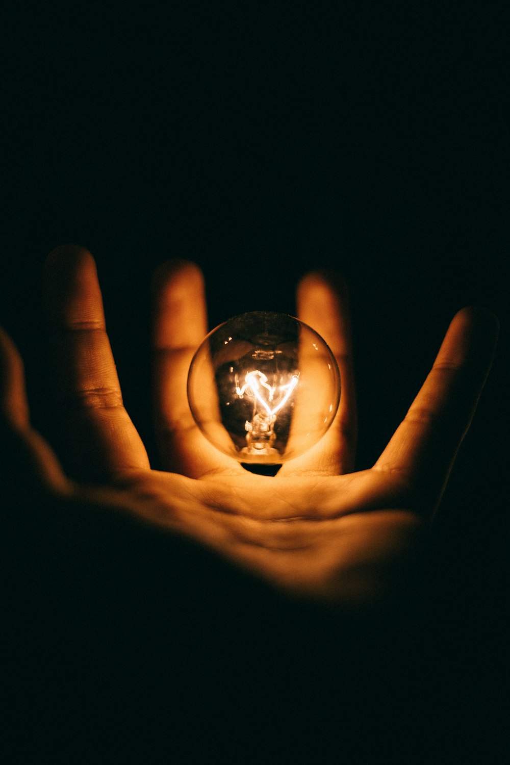 clear glass bulb on human palm