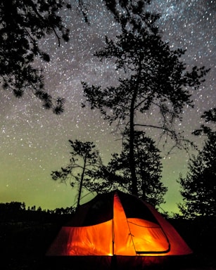 A glowing tent set amidst a forest landscape with tall trees silhouetted against a star-studded night sky. The soft orange and yellow hues from the tent provide a warm contrast to the cool, dark tones of the surrounding foliage and sky.