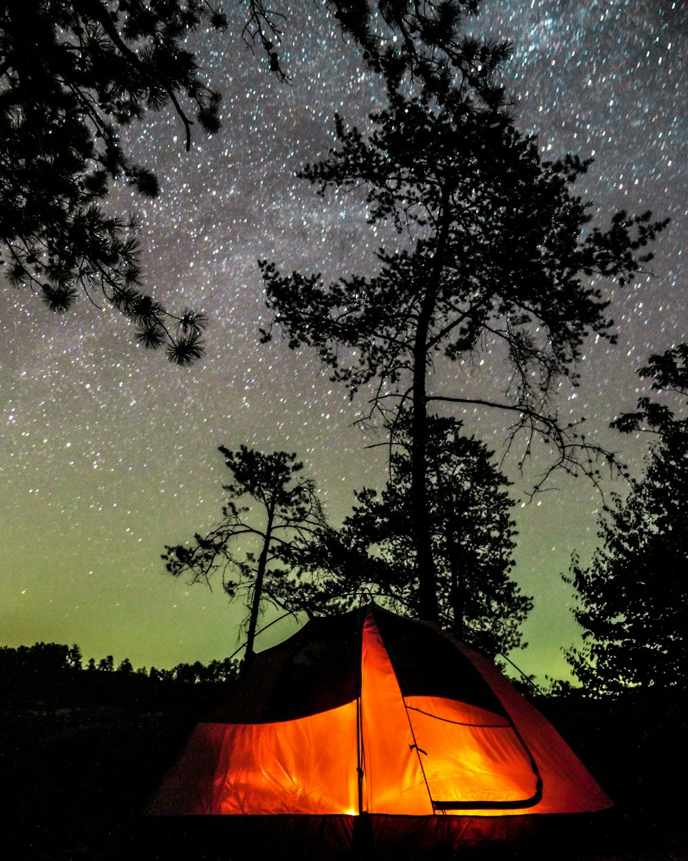 별이 빛나는 밤 동안 주황색과 검은 색 텐트 옆에 나무의 실루엣 사진