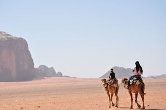 man and woman riding on horse during daytime