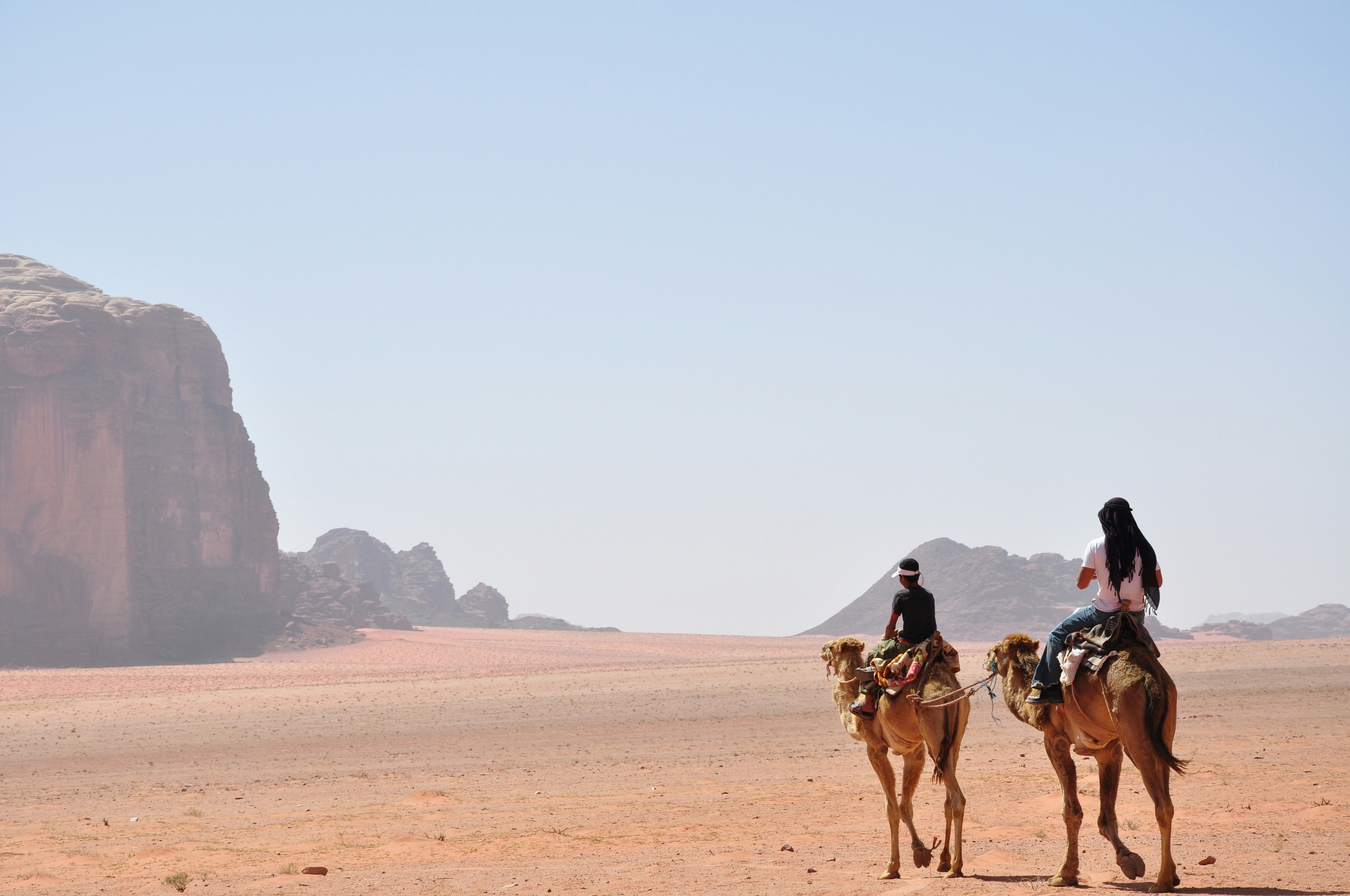 Camels in Wadi Rum