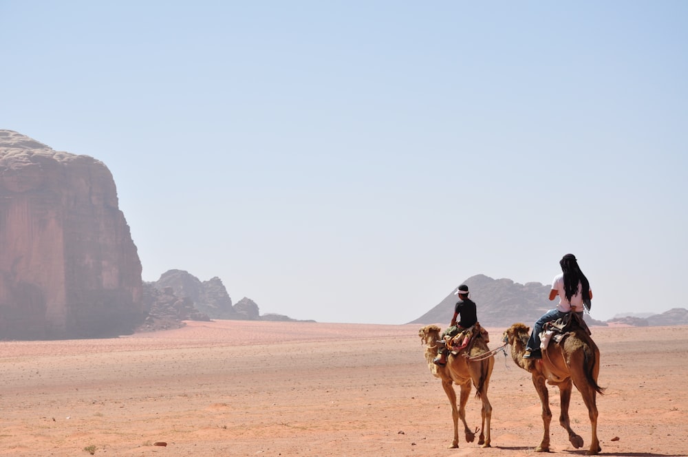 man and woman riding on horse during daytime