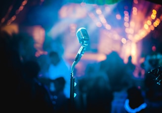 gray microphone inside party room