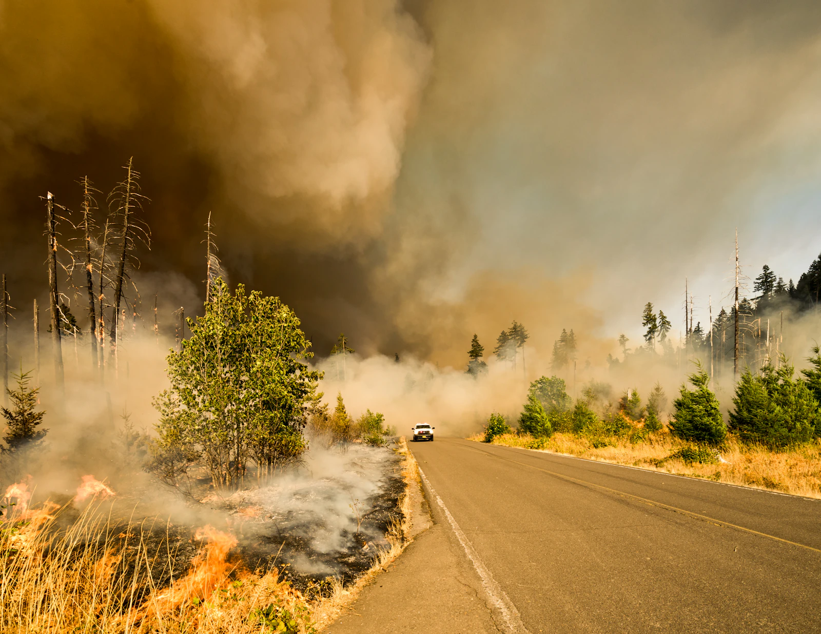 Multiple Wildfires Ignite Across California Amid Hot, Windy Conditions