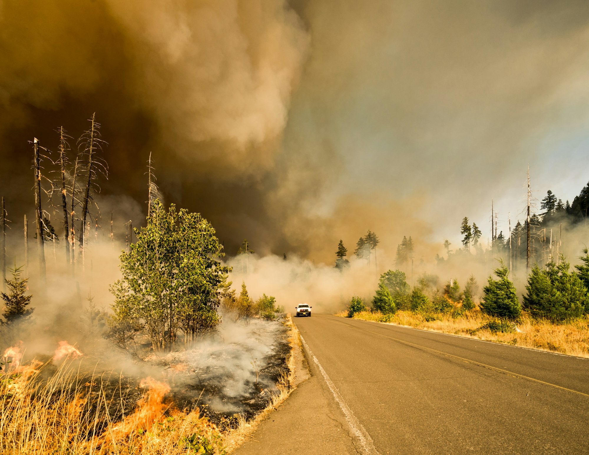 Caldor and Dixie California Wildfires Moratorium Reminder