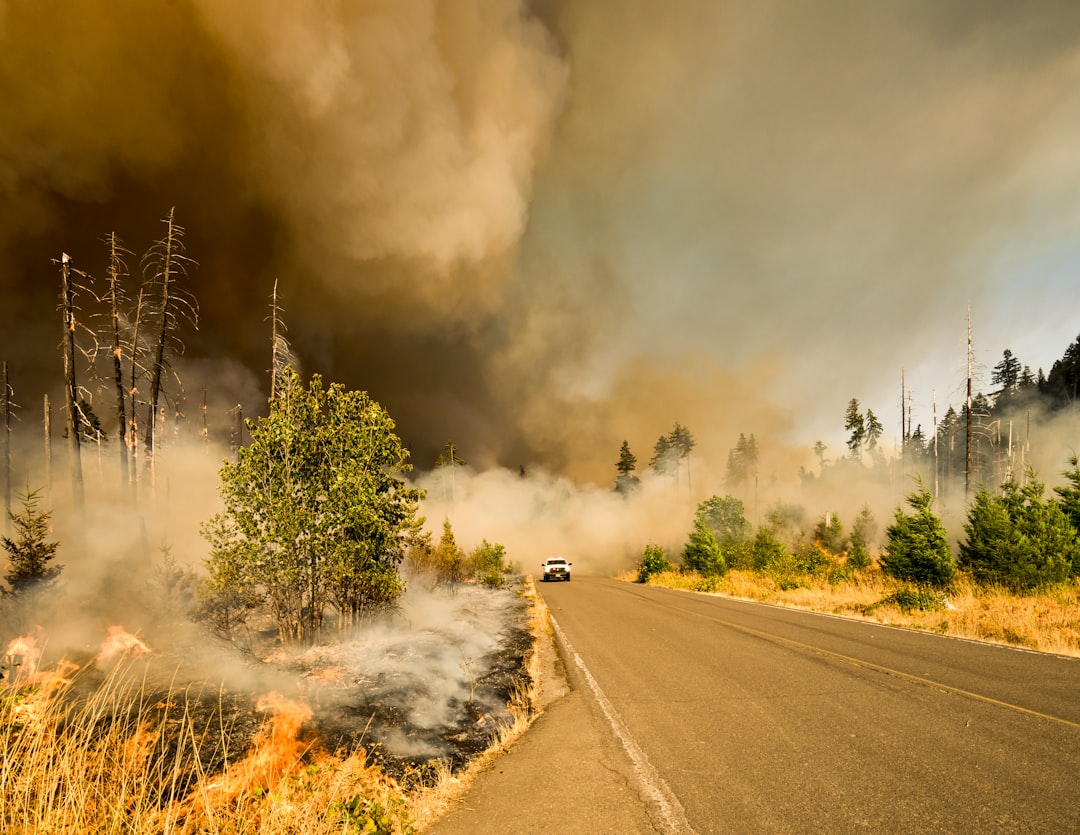 We were on our way to a lookout to photograph activity on the Jones Fire as part of our work for the fire management team. We heard radio traffic about a spot fire that has jumped the road we were traveling on. We drove up to find controlled chaos and very active fire. I jumped out with fire gear on and started shooting. I like this shot because it tells the whole story in one frame.