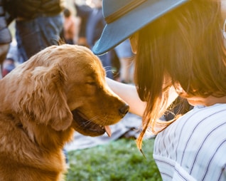 dogAdvisor | dogadvisor | dog advisor | dogAdvisor.dog