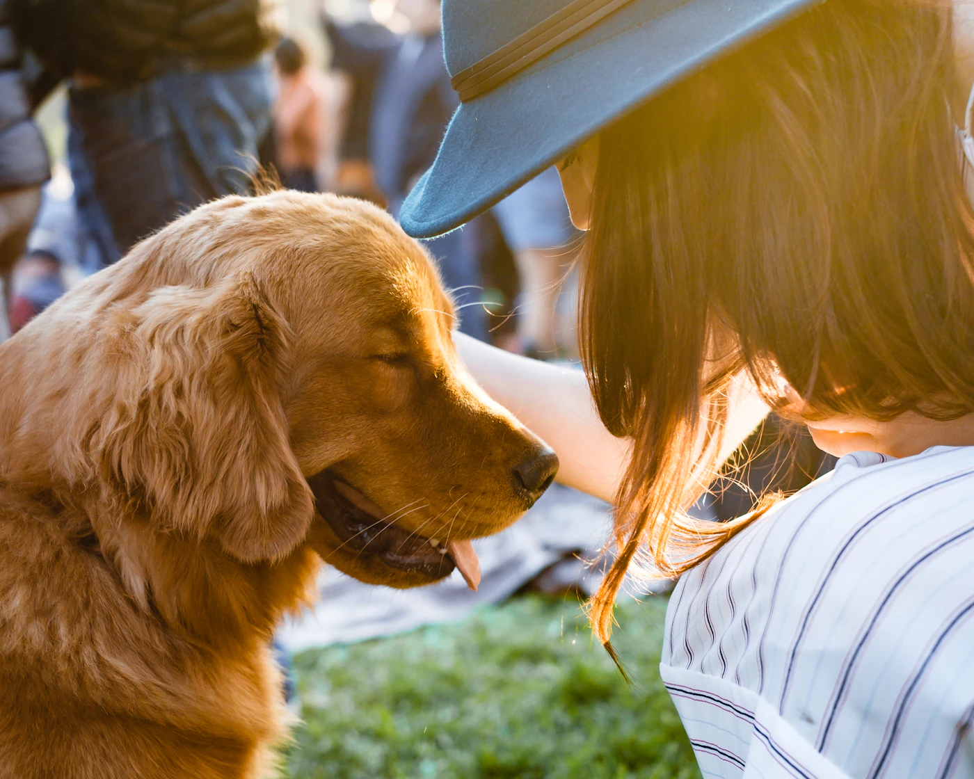 A woman holding an adult golden retriever close to her face in a gentle, warm moment